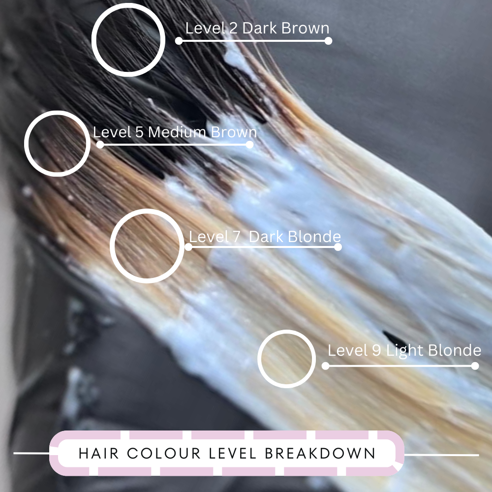 Vendor Contact - (Exact Vendor)